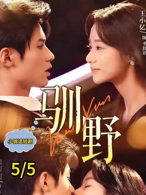三十九度风 都市职场剧全集在线观看